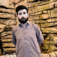 Muhammad Faizan Ali Khan