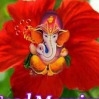 Jay Kumar