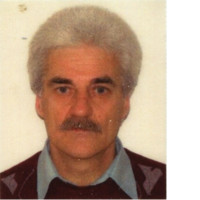VICOL COSTEL
