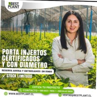 Luisa Magdalena Rojas Sepulveda