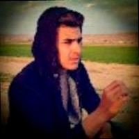 مصطفى العبيدي