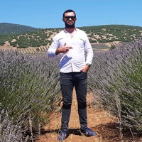 Yusuf Arat