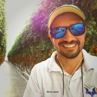 Marcelo Andrini