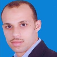 Essam M. A. Shaalan