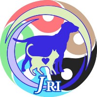 Jiraroj International