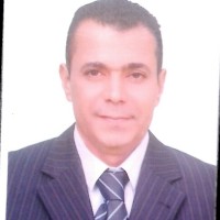 Alaa Hassan Mohammed Mahmoud