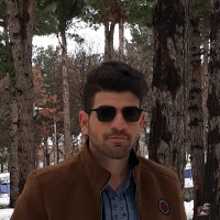 Hamed Jamali
