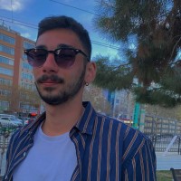 Berke Engin