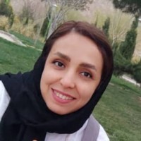 negar nasr