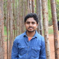 Dinesh P