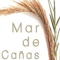 Mar De Cañas