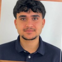Arman Tavani