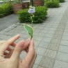 胡汉杰