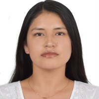 Nilda Noemi Carrion Flores