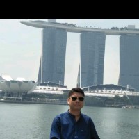 Bhaskar J Bora