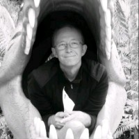 Johan Verwimp