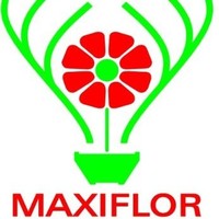 Maxiflor Lda