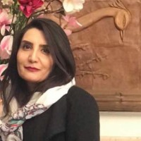 Sasani negar