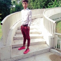 Baljor Pal