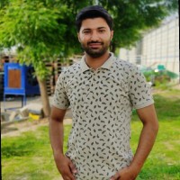 Touqeer Goraya