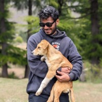 Himanshu Chouhan