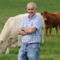 Eddie Downey