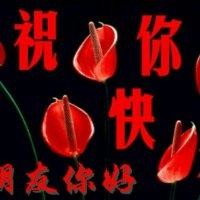 刘宏东