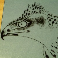 Laura Foster-Bobroff