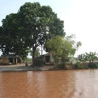 thai do tai