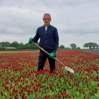Frans Versteegen