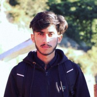 Malik Tayyab