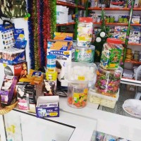 nourane ben chaabane