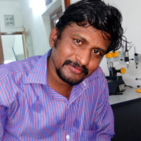 Veeranan R