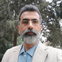 Mohammad Nadimi