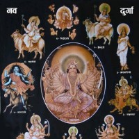 Rajesh Kumar Shah