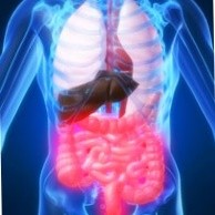 Gastroenterology And Hepatology