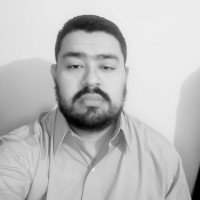 Ulises M. Ramirez Alcocer