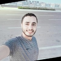 Mahmoud Werdany