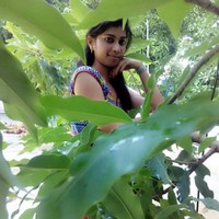 Teju E