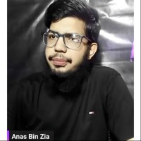 Anas Bin Zia