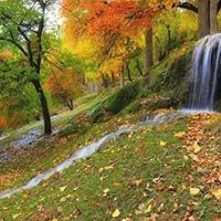Faisal Sayyad