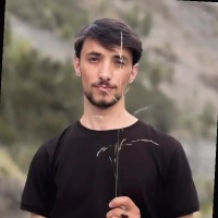 Hassan Ullah