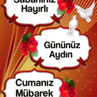 Yilmaz Mor