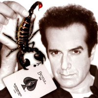 David Copperfield