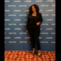 Sandy Ayman