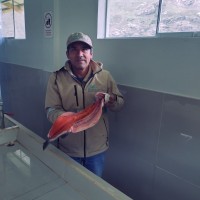 orlando Cadenillas
