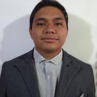Diego Antonio Guzman Juarez