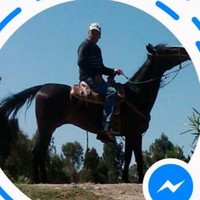 Jose Bernardo Ballesteros Pastrana