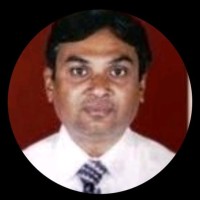 Pingal Roy
