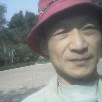 周三毛